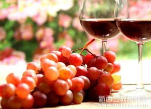 探秘葡萄酒种植：科技赋能，引领产业新风向
