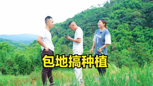 揭秘折耳根种植奥秘：高效技术助力产业升级