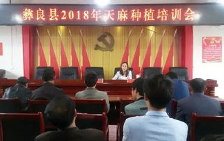 揭秘天麻种植技术新篇章——一场行业精英汇聚的培训会即将开启