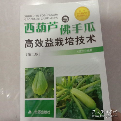佛手瓜种植新趋势：揭秘高效益的种植技术与市场潜力