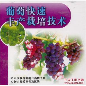 南方葡萄种植技术揭秘：如何打造高品质葡萄园？
