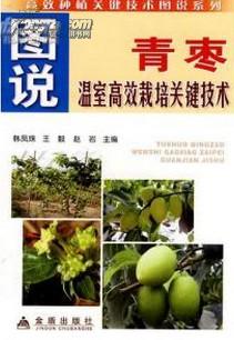 海南青枣种植：揭秘高效益的种植技术