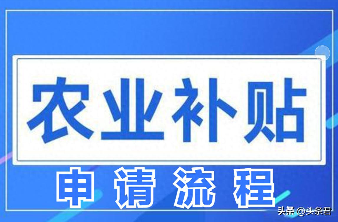 农业补贴具体申请流程大揭秘！2025年最新政策全知道