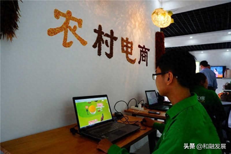 数字信贷与传统银行信贷关系_农村数字信贷发展_农产品营销中农户合作行为实证研究