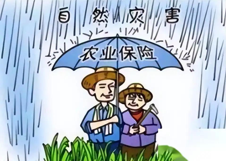 农产品补贴__ 2025年农机购置与应用补贴政策