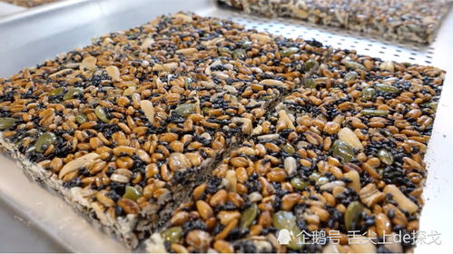 坚果种子种植技术：揭秘高效产出的秘密武器