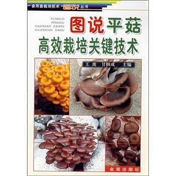 揭秘平菇种植：如何让“平民”菌类绽放“贵族”风采？