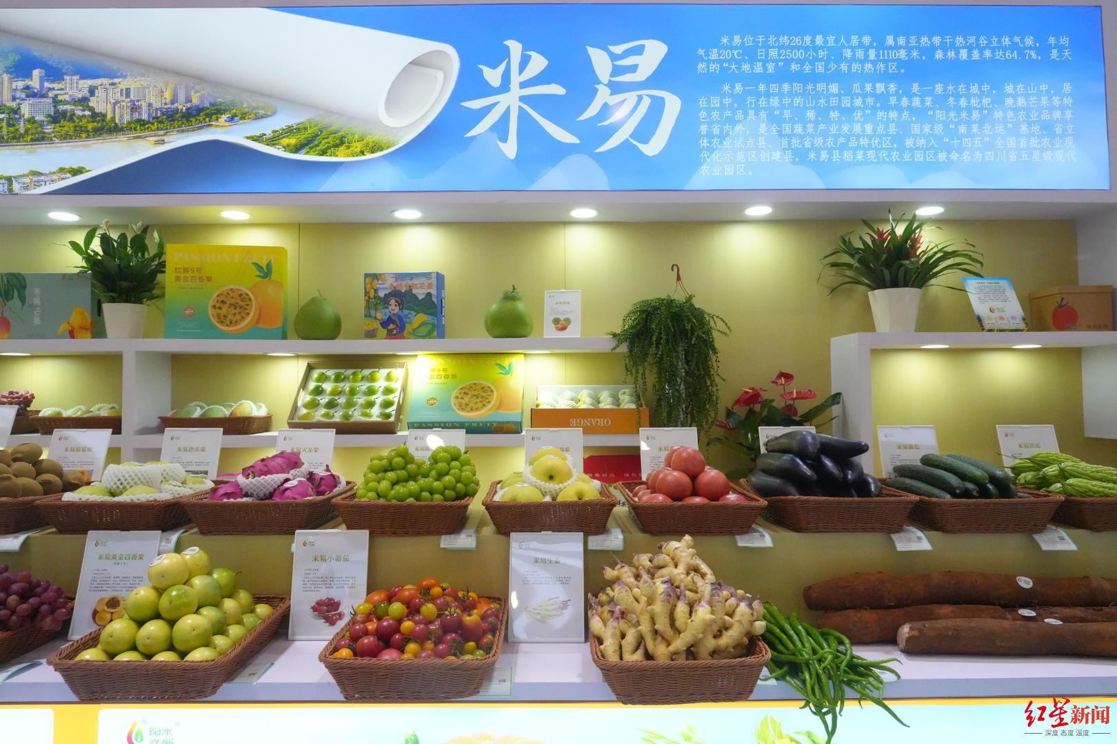 攀果区域公用品牌 _攀枝花特色农产品 四川农博会 _特色农产品 展览馆