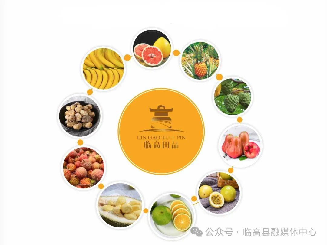 特色农产品 展览馆_临高渔业资源展示_临高冬交会特色农产品