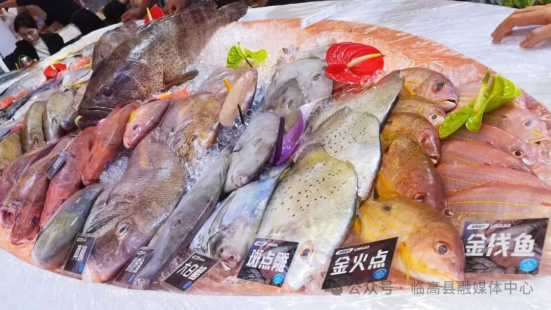 临高冬交会特色农产品_特色农产品 展览馆_临高渔业资源展示