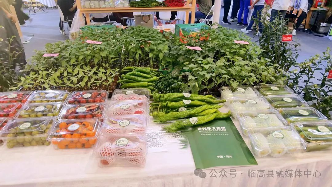 临高渔业资源展示_特色农产品 展览馆_临高冬交会特色农产品
