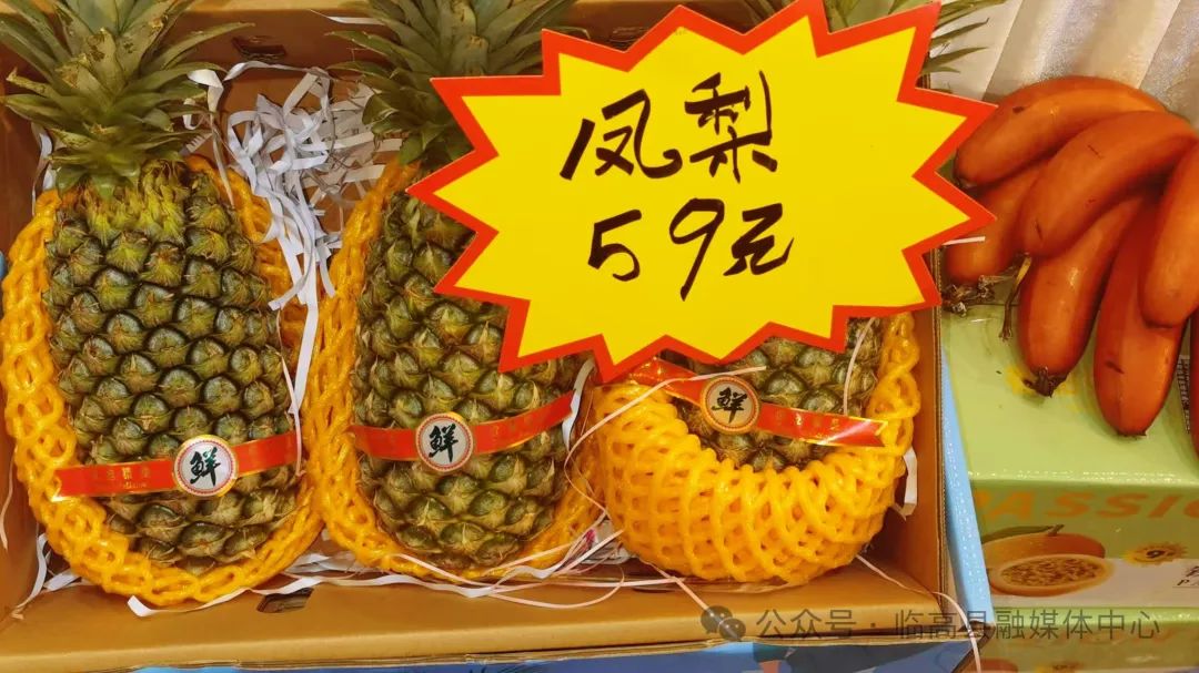 临高渔业资源展示_特色农产品 展览馆_临高冬交会特色农产品