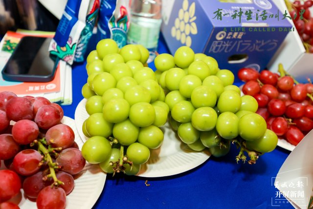 大理高原特色农产品上海推介活动_高原农产品是什么_大理州农业产业转型升级
