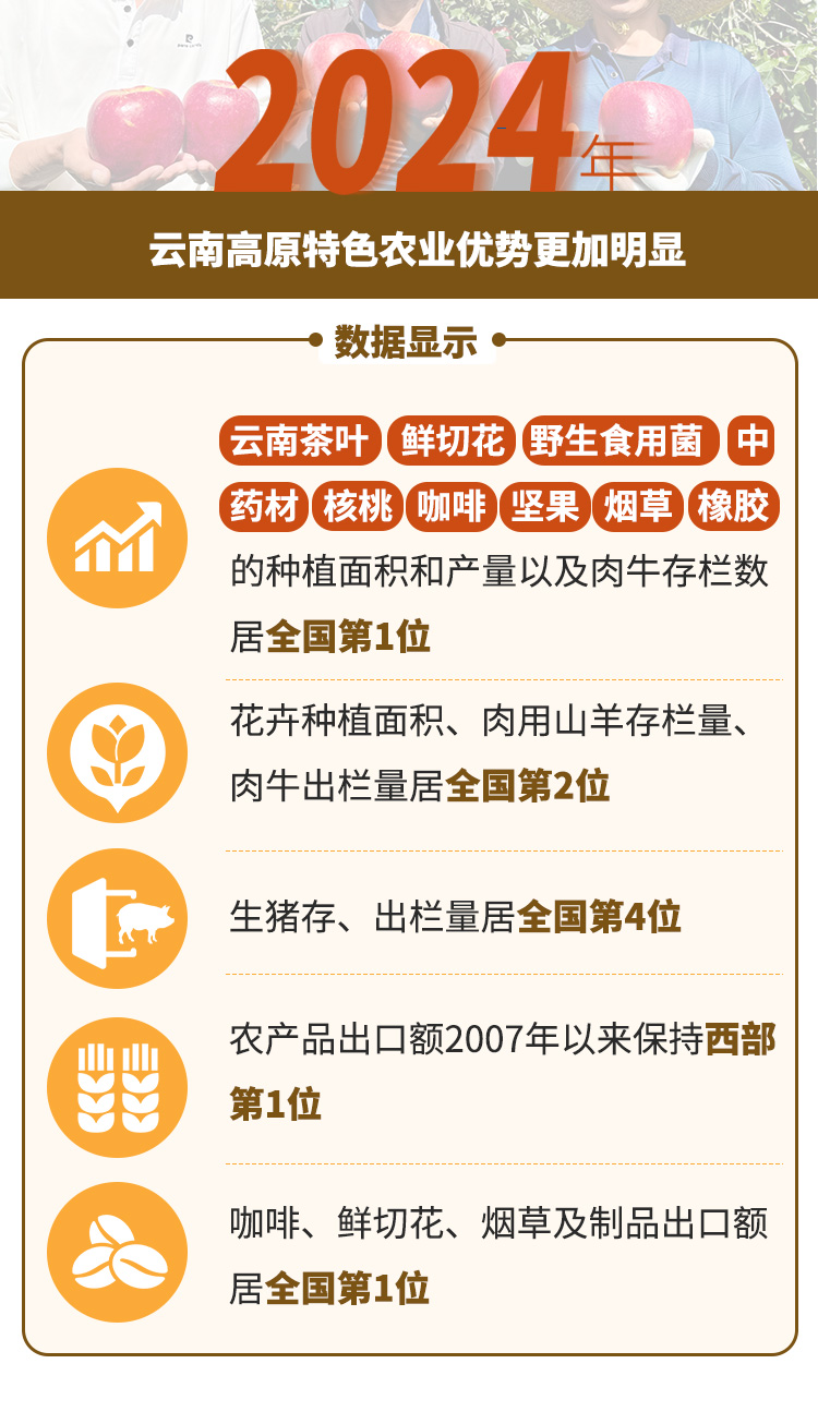 高原农产品是什么_云南土特产品牌建设_云南特色农业发展