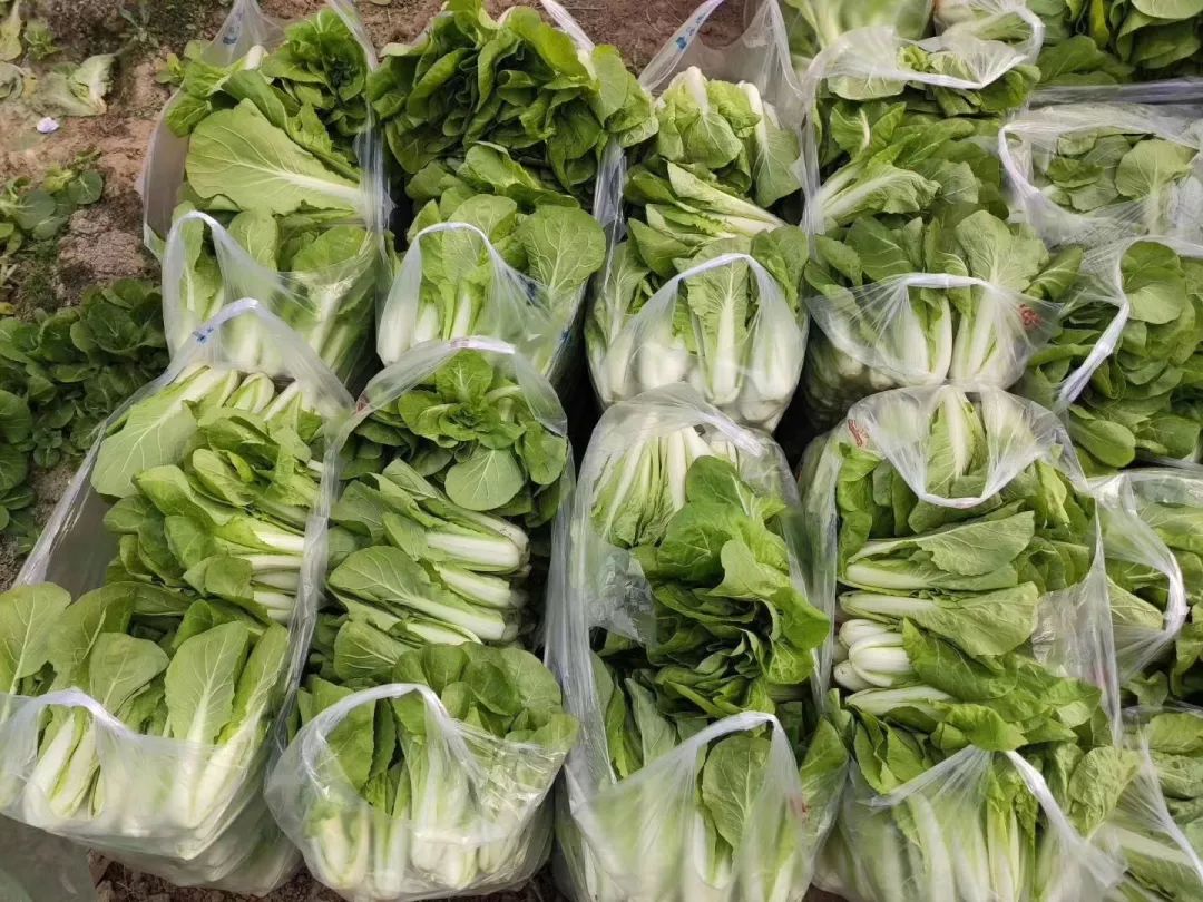怎样在微信上卖农产品_疫情下农产品直销模式_居家防控买菜难解决方案