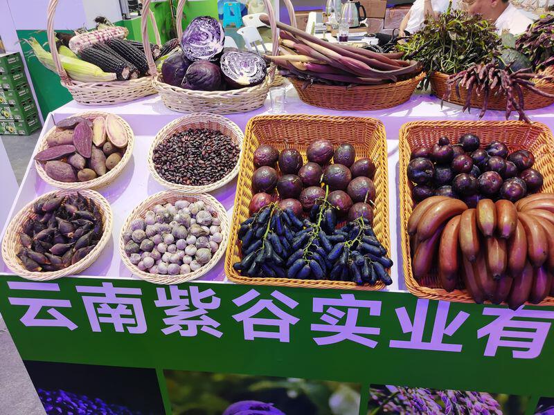 高原农产品是什么_第8届南博会现代农业馆_云南特色农产品展示