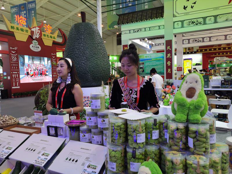 第8届南博会现代农业馆_高原农产品是什么_云南特色农产品展示