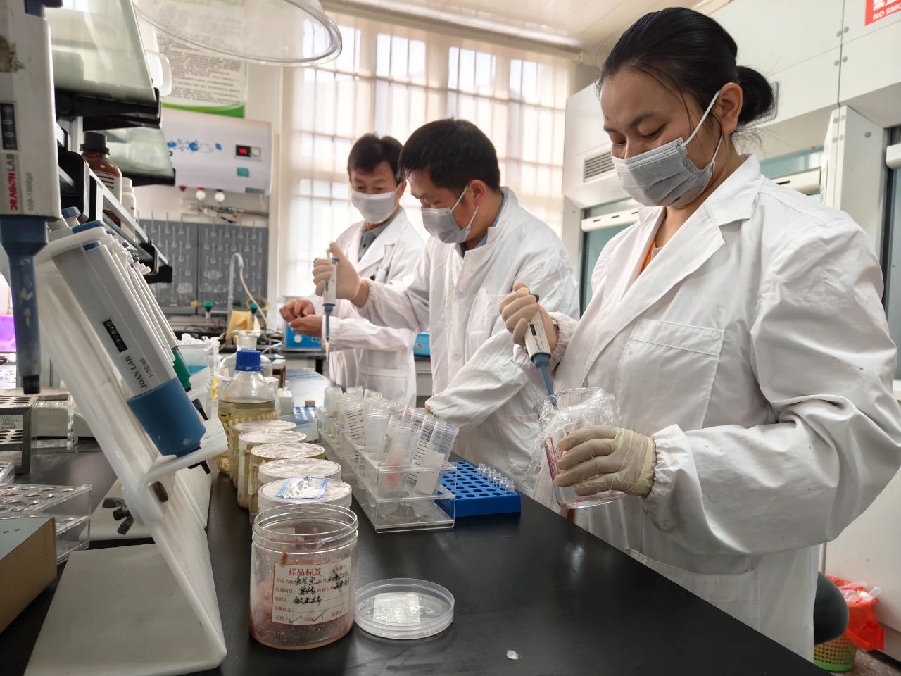 农产品质量安全监督抽查_农产品质量检测标准_台江县农产品检测机制