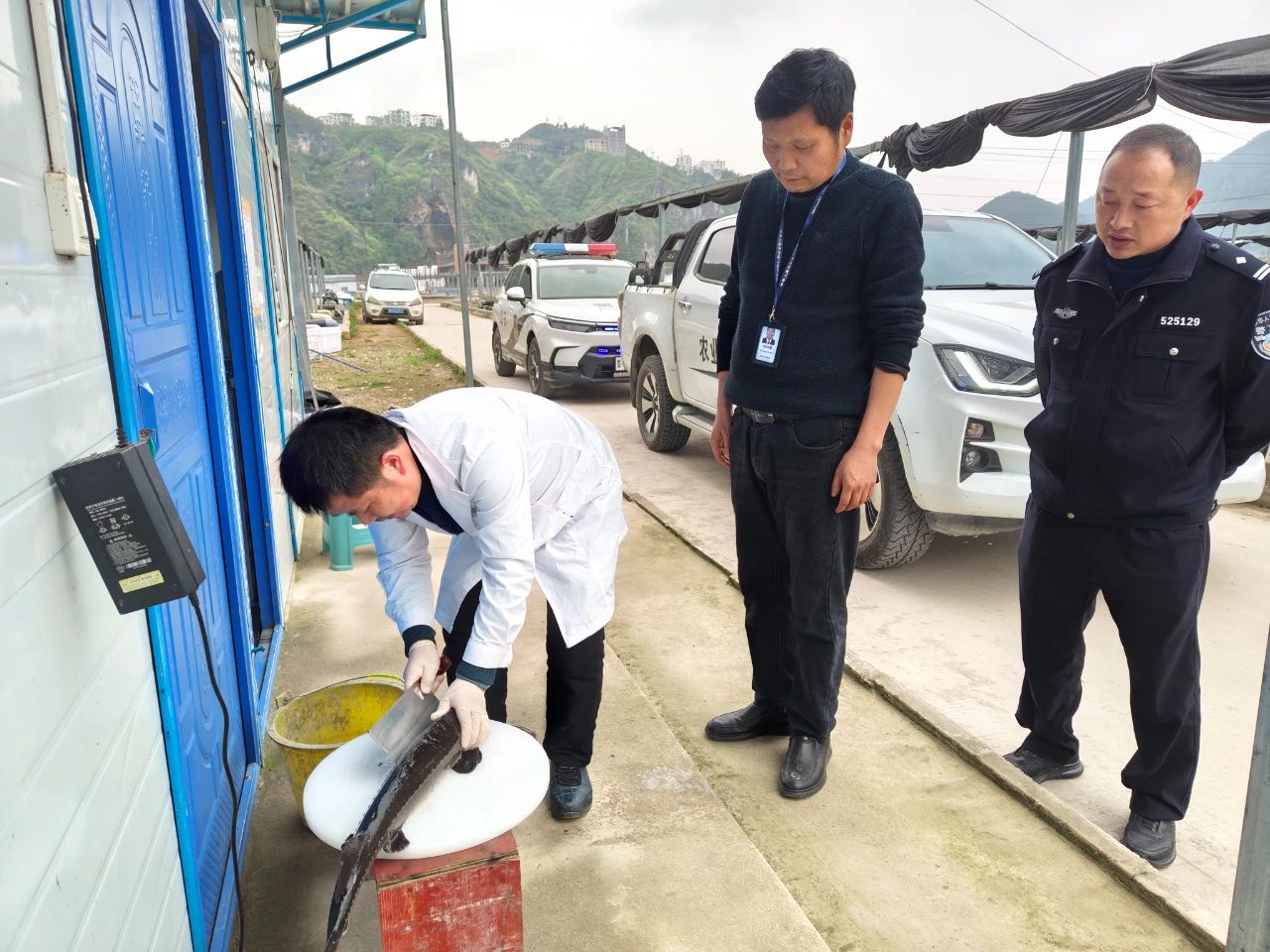 台江县农产品检测机制_农产品质量检测标准_农产品质量安全监督抽查