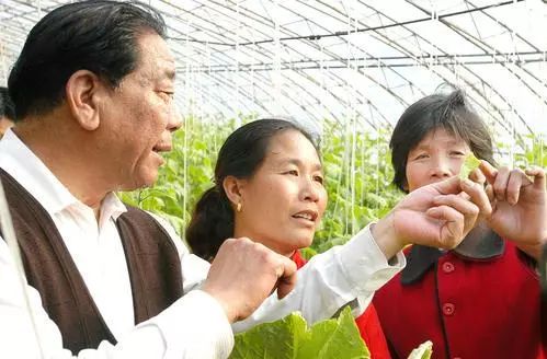 滕州市每年的农产品滞销_寿光蔬菜大棚_山东蔬菜捐助