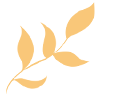 华税蚌埠 A 级税务师事务所：餐饮公司农产品免税发票抵扣案例解析