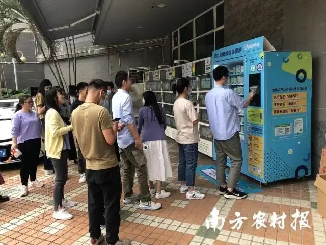农产品盲盒营销_生鲜行业盲盒模式_农产品营销