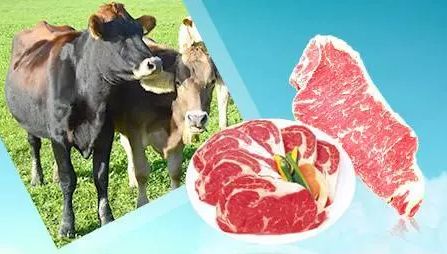 正规的农产品交易平台_中国通辽农产品交易平台_通辽肉牛电子交易平台