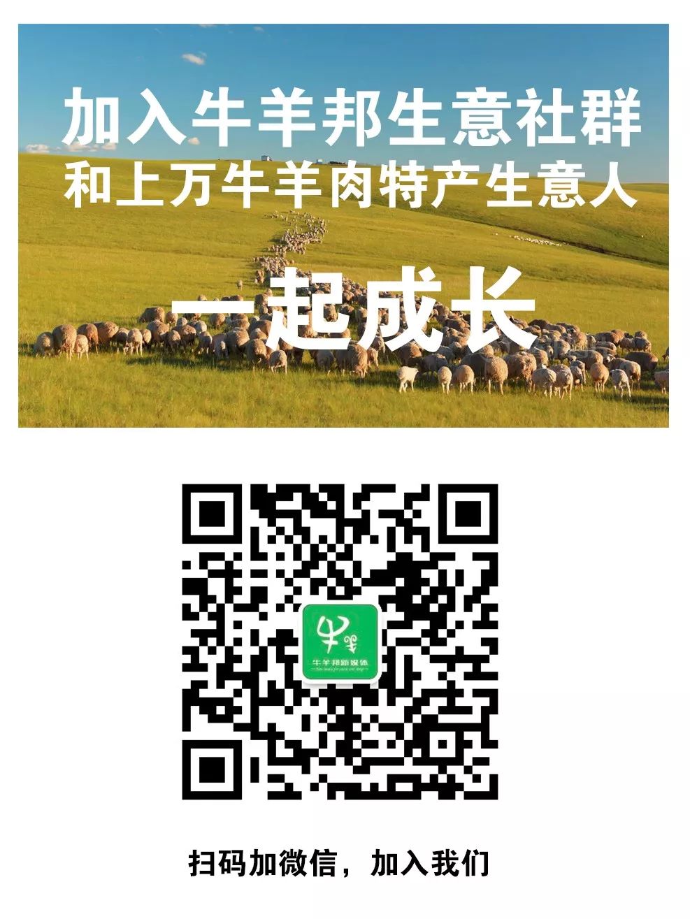 中国通辽农产品交易平台_正规的农产品交易平台_通辽肉牛电子交易平台