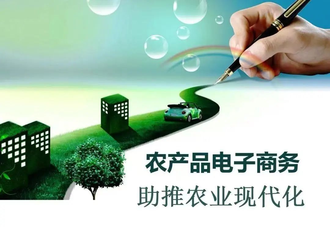 电商助力乡村振兴模式_陇南电商扶贫试点_农产品电商成功案例