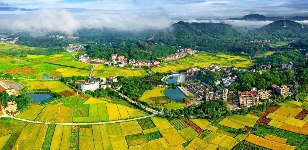 农产品电商成功案例_陇南电商扶贫试点_电商助力乡村振兴模式