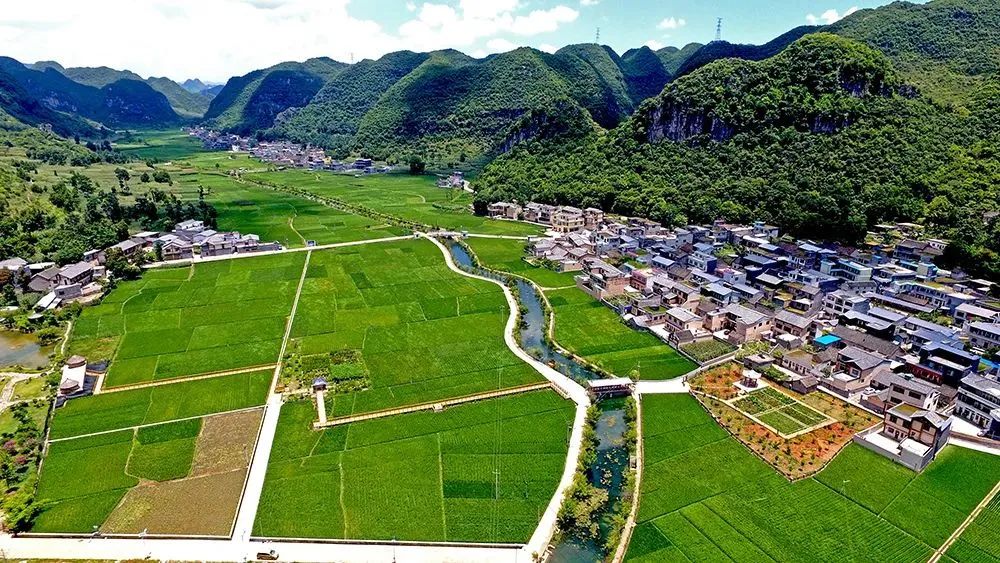 陇南电商扶贫试点_电商助力乡村振兴模式_农产品电商成功案例
