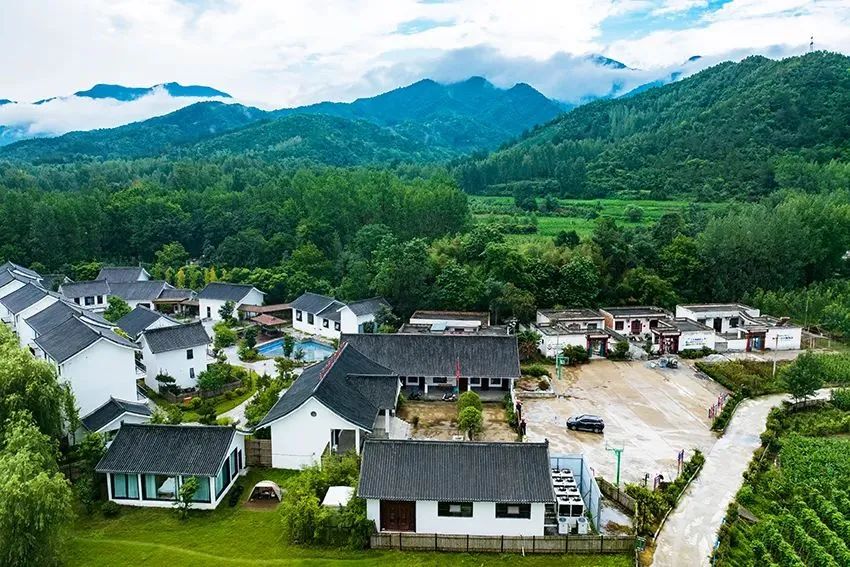 电商助力乡村振兴模式_农产品电商成功案例_陇南电商扶贫试点