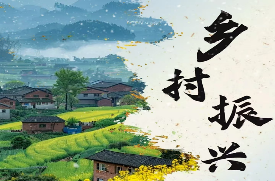 电商助力乡村振兴模式_农产品电商成功案例_陇南电商扶贫试点