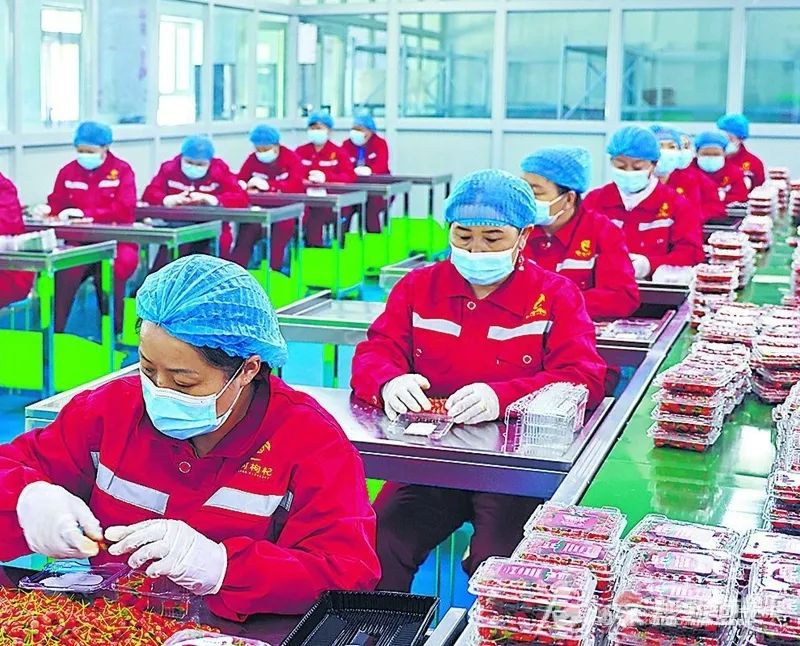 新疆特色农产品快递排名_新疆快递业务量增长_新疆农产品交易网