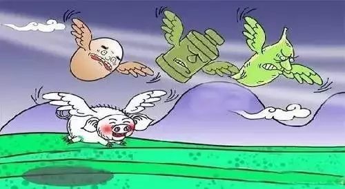 复合肥价格资讯_尿素价格走势_农产品包括哪些