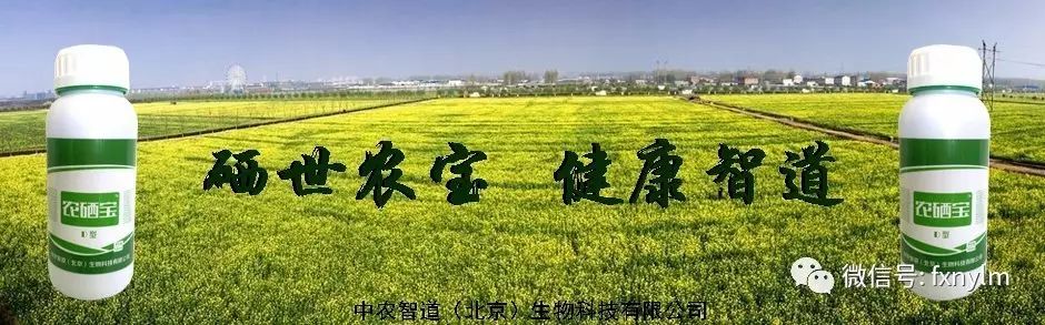 富硒茶NY/T 600—2002_富硒农产品硒含量要求_食品中硒限量卫生标准