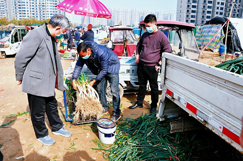 商丘农产品批发市场_商丘市蔬菜滞销解决方案_商丘睢阳区自卖头市场