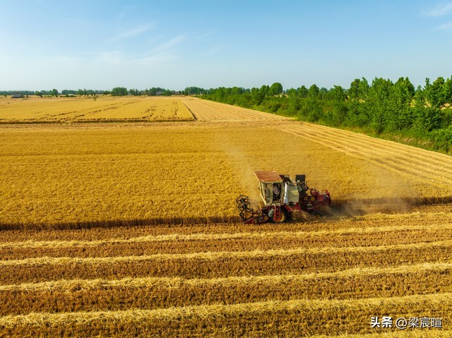粮食产量预测 _中国农产品国际竞争力研究_中国农业展望报告(2025—2034)