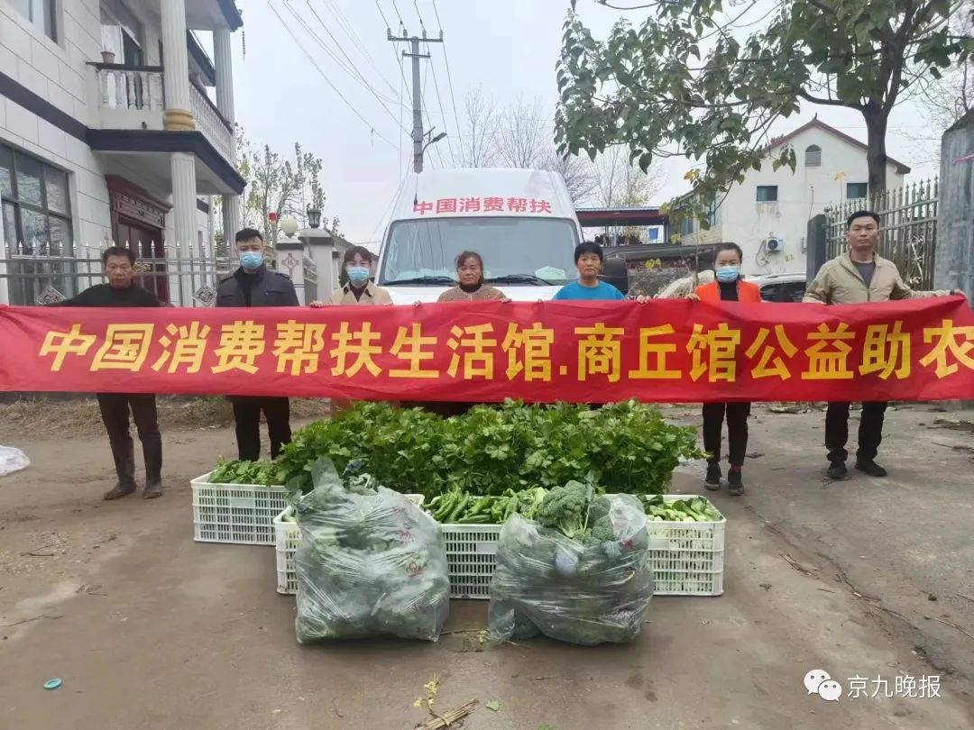 商丘市蔬菜滞销解决方案_商丘农产品批发市场_商丘市蔬菜产销对接