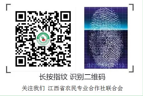 农业专项扶持资金申报培训_江西省农民专业合作社联合会培训_市农产品经纪人协会成立申请书