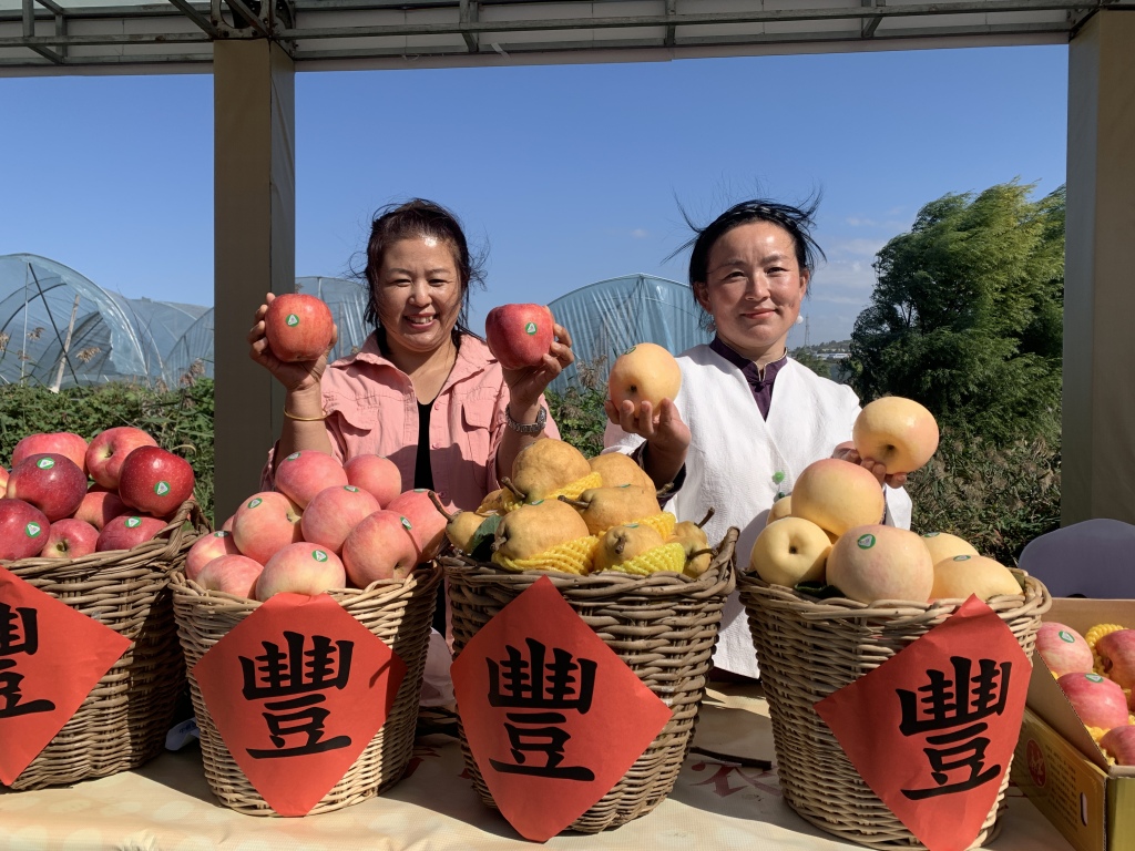 中国农民丰收节青岛主场活动_中国青岛农产品交易会_青岛乡村振兴齐鲁样板
