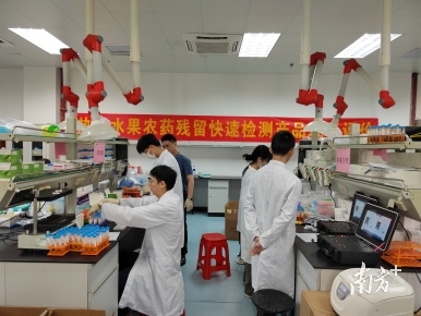 农产品快速检验设备_ 农产品药物残留快检技术 _