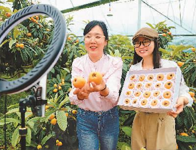 农村直播电商培训 _ 农村直播助农经验分享 _田间地头农产品