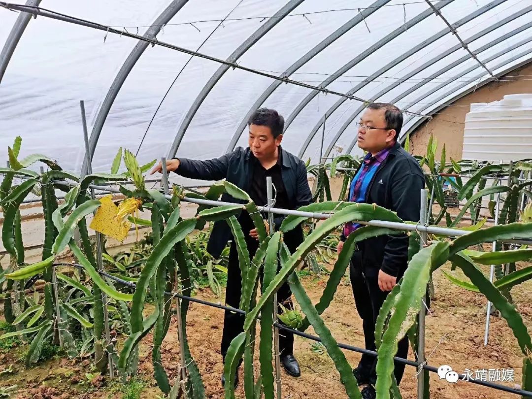 永靖县农产品监测_中国地震局定点帮扶永靖县_中央单位定点扶贫先进集体