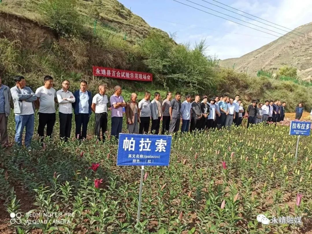 中国地震局定点帮扶永靖县_永靖县农产品监测_中央单位定点扶贫先进集体