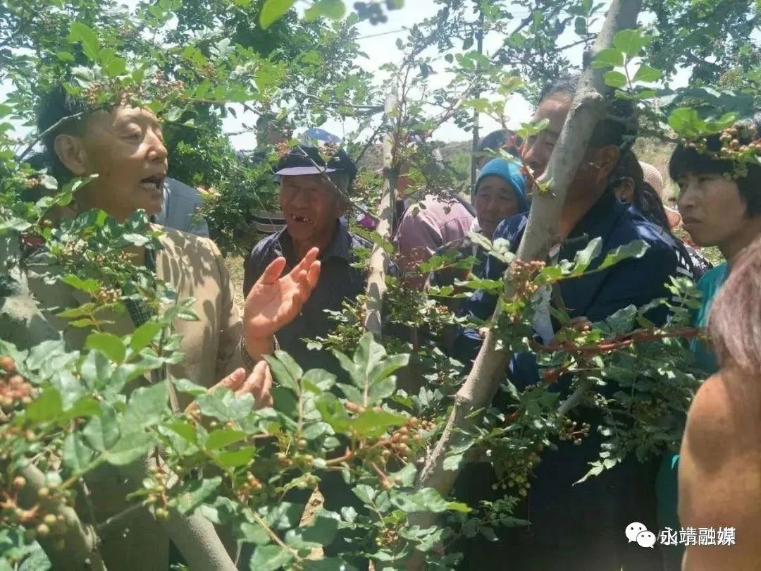 中国地震局定点帮扶永靖县_永靖县农产品监测_中央单位定点扶贫先进集体