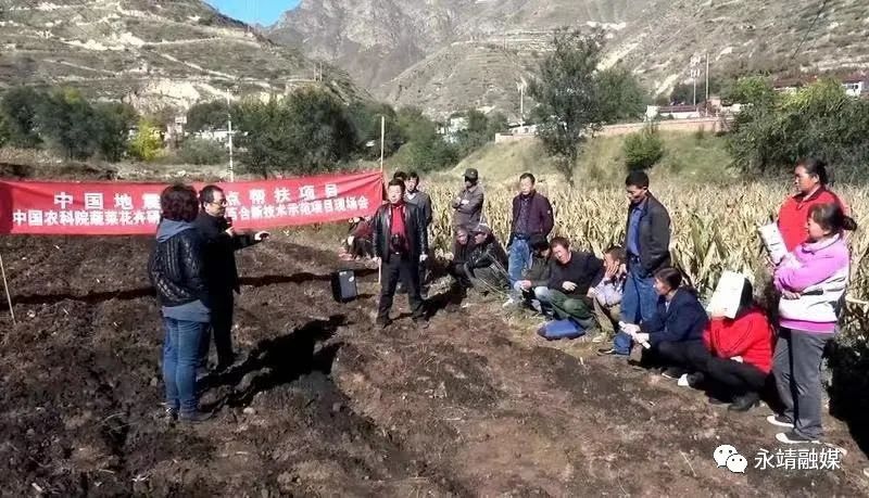 中央单位定点扶贫先进集体_中国地震局定点帮扶永靖县_永靖县农产品监测