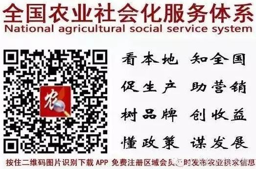 湖南省冷链物流补贴_农产品物流补贴政策_农产品物流项目补贴