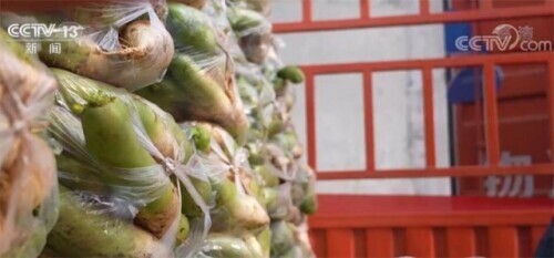传统农产品流通模式_河南蔬菜滞销解决方案_全国供销合作社系统采购滞销蔬菜