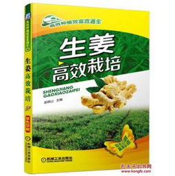 《深耕生姜田：揭秘生姜种植技术书籍，助你成为种植高手！》